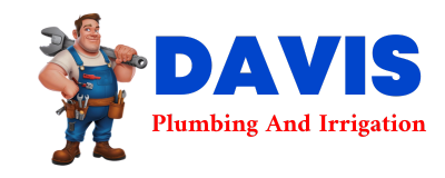 Trusted plumber in MODEL